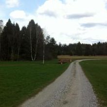 Weg zum Tradlezer Hof