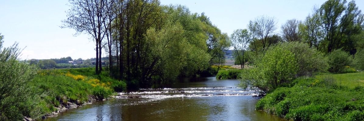 An der Rott bei Brombach