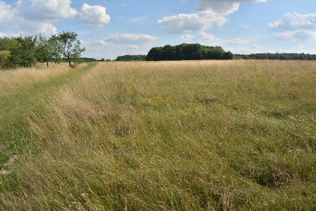 Hier könnte gleich der echte Hegereiter entlang kommen.