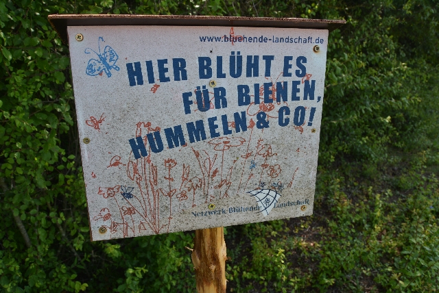 Der Mensch denkt mit.