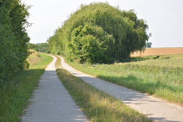 Der Weg führt durch Feld und Flur.