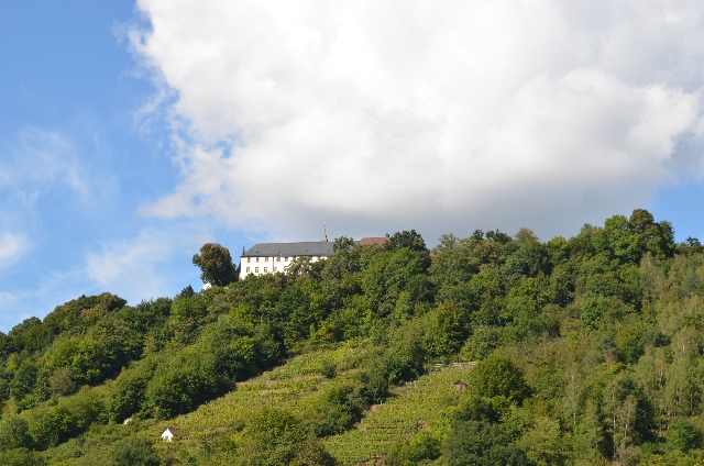 Blick vom Maintal hoch zum Kloster Engelberg
