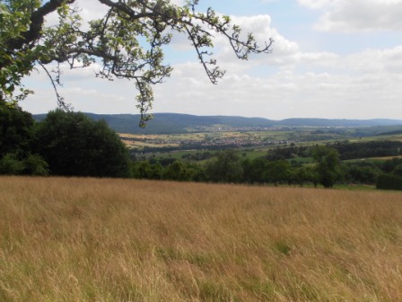 Blick vom Waldrand in Eichelsbach