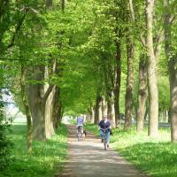 Babenhausen Dieburg Allee