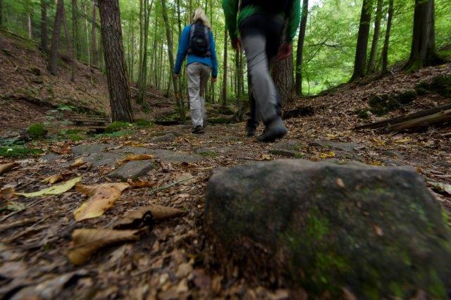 auf dem &quot;Alten Schulweg&quot;