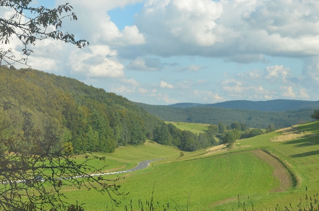 Blick in den Spessart