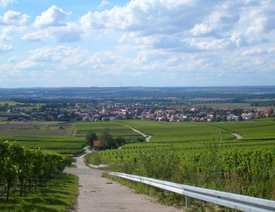 Blick nach Rödelsee.