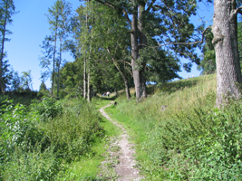 Lenzfrieder Hohenrücken