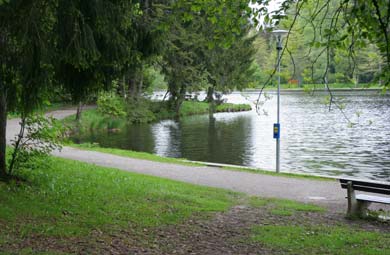Waldsee Lindenberg