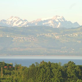 Blick auf den Bodensee und die Alpen.