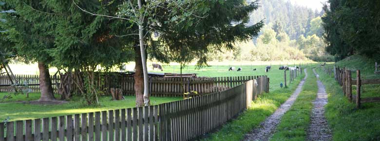 Beginn am Kindergarten