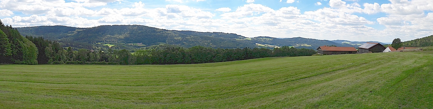 Panorama vor Weidenschaft