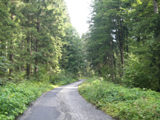 Abstieg nach Rabenstein