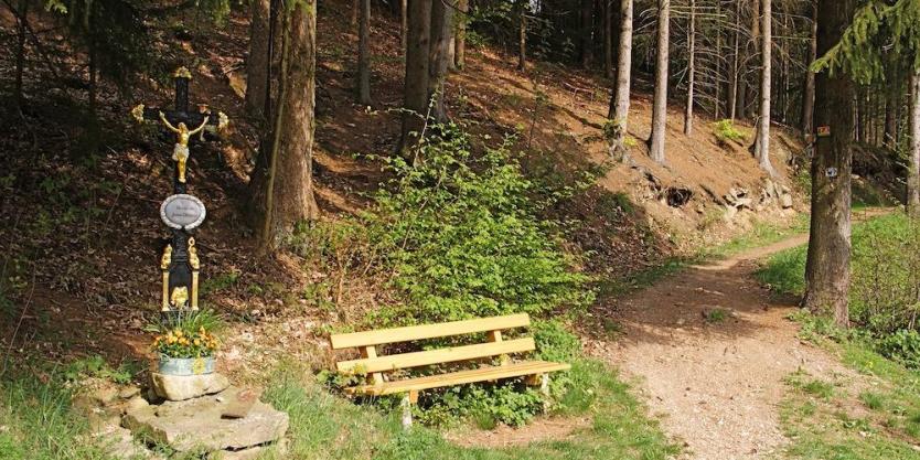Trail im Perlbachtal
