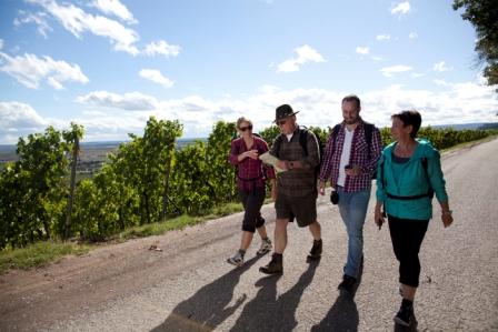 Auf dem Württembergischen Weinwanderweg im Zabergäu
