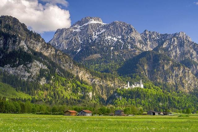 o7tNC5vpcPTh7AXZcJ5c