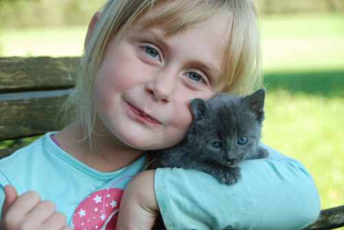 Eine unserer Schmusekatzen