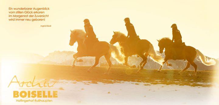 16700693_1239558232760241_4955170761500074479_o