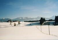 Waldmann-Winterlandschaft