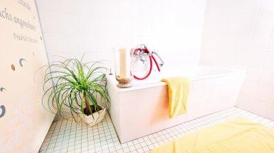 20110119-dsc09133__lr