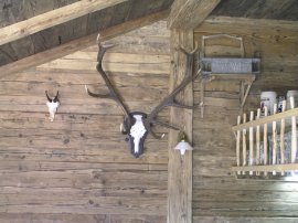 Alpe Hinter der Enge