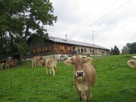 Sennalpe Thalhoferberg