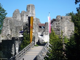 Blick auf die Burgruine Alttrauchburg