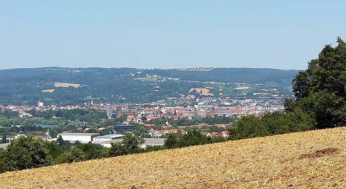 Blick vom Sternberg auf Aschaffenburg