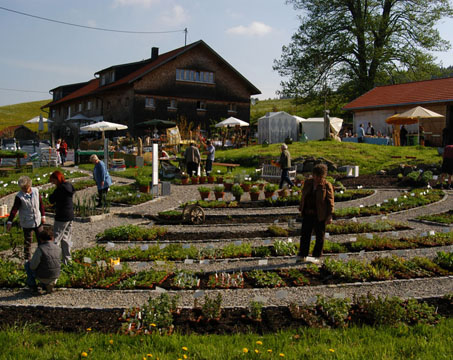 Im Kräutergarten Artemisia gibt es viel zu entdecken.