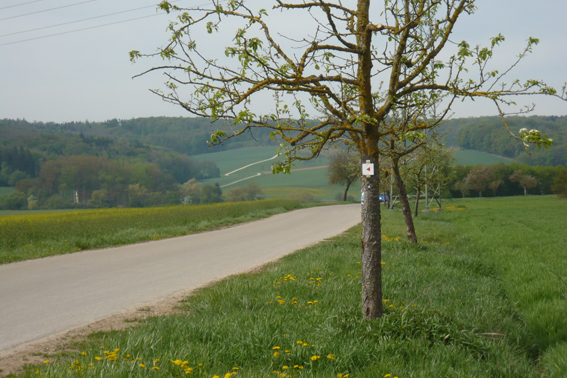 Das allgegenwärtige rote Dreieck.