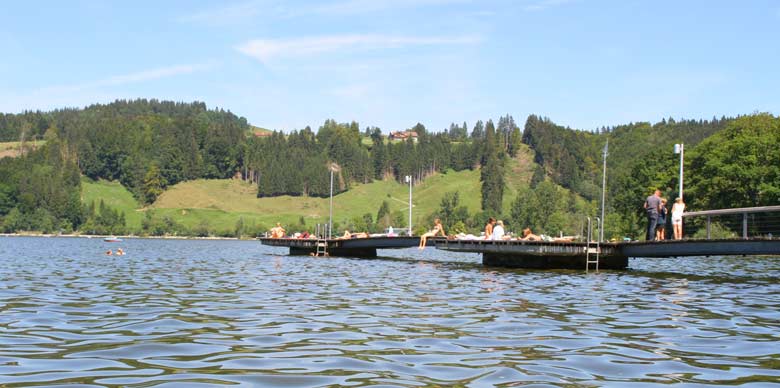 Zielpunkt: Der Alpsee in Bühl