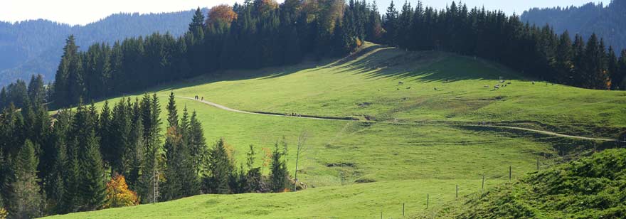Panoramaweg zur Hochsiedelalpe