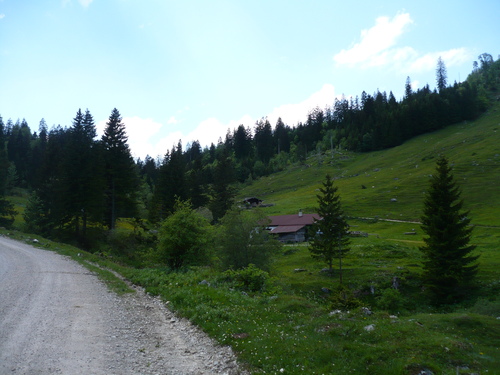Kurz unterhalb der Dalsenalm
