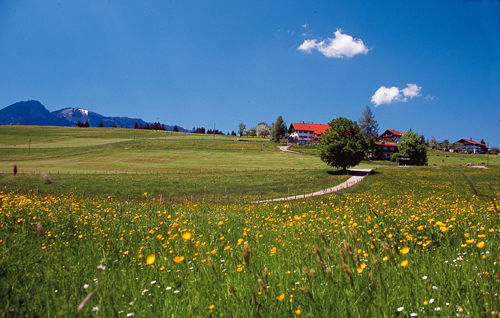 Weg von Maderhalm nach Langenwang