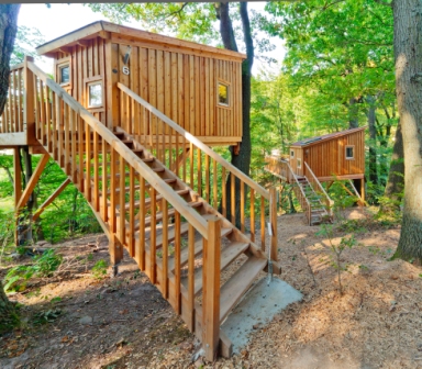 Baumhaushotel Wipfelglück