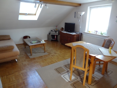 Wohn-/Esszimmer in der kleinen Wohnung