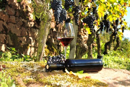 Weinflasche von Annette Süß