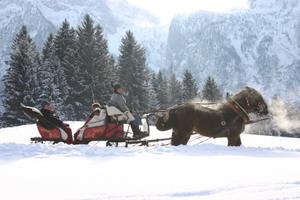 Pferdekutschenfahrten im Winter