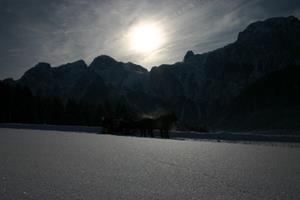 Panorama bei Schlittenfahrt