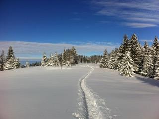 Winterlandschaft