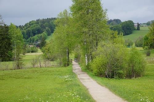 Weg um den See