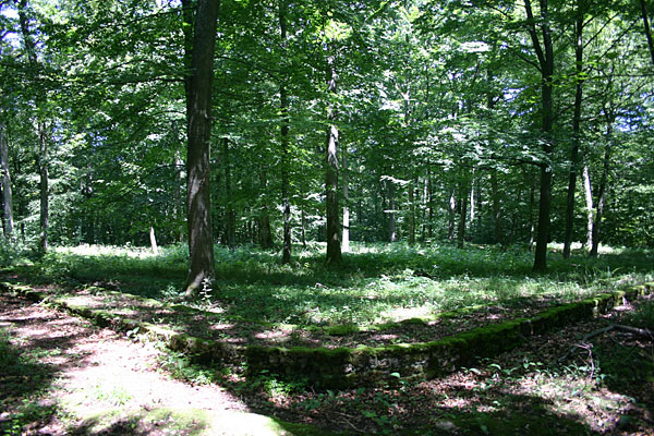 Römisches Kleinkastell Hönehaus