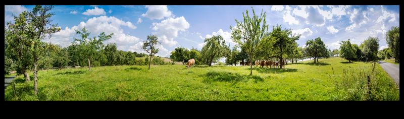 Kuhweide bei Leidersbach