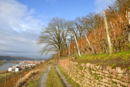 Mittlerer Weinbergsweg