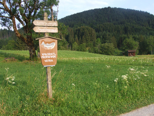Kalorienpromenade - nach 48 Minuten Fußmarsch  Forelle blau