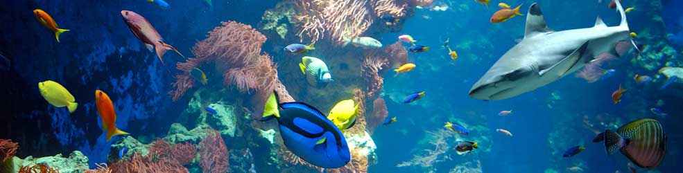 Haus der Natur Salzburg 