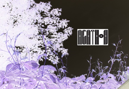 Blätterdach im Gastgarten