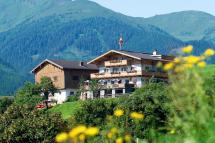 Sommer Impression mit Blick auf den Nationalpark Hohe Tauern