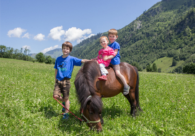  Das Feriendorf Ponyhof