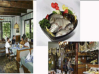 Impressionen Fischrestaurant Moser